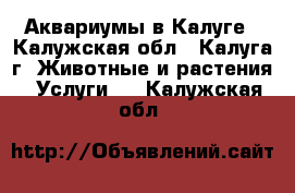 Аквариумы в Калуге - Калужская обл., Калуга г. Животные и растения » Услуги   . Калужская обл.